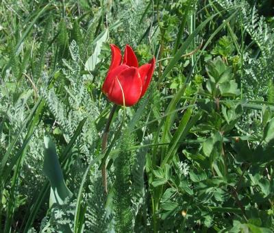 Прикрепленное изображение: 311.jpg